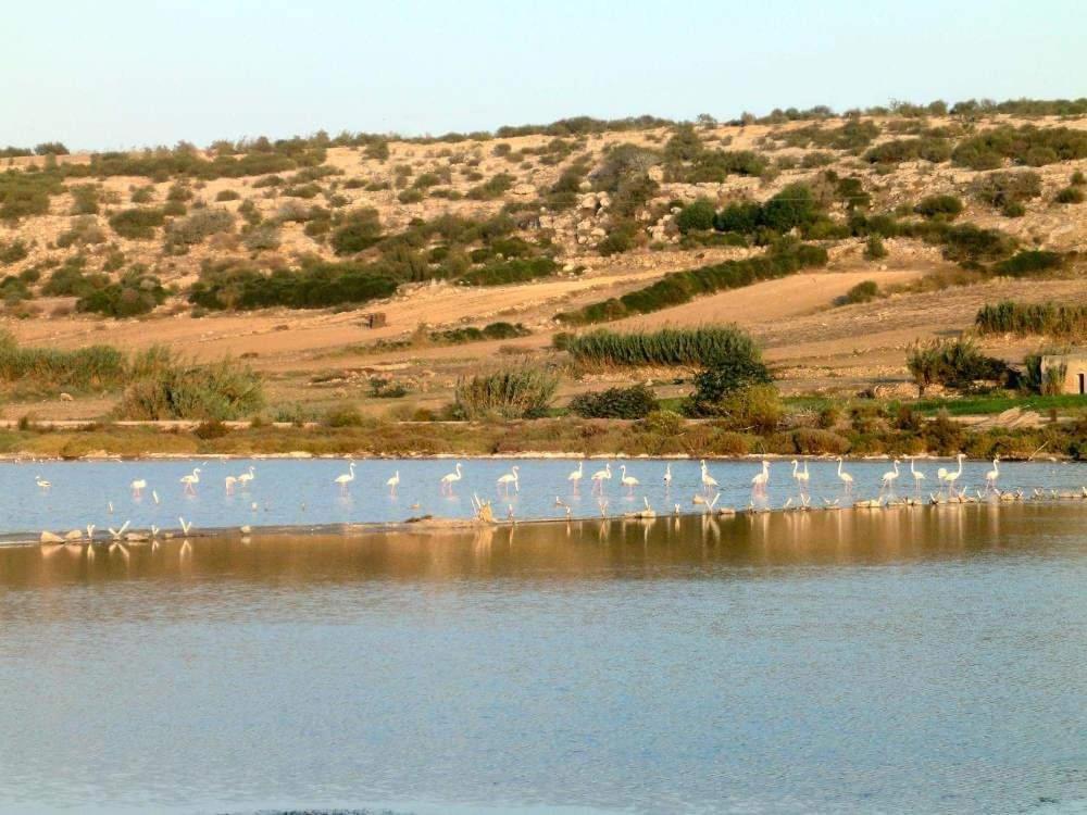 Dar Doukkala Oualidia Exterior foto